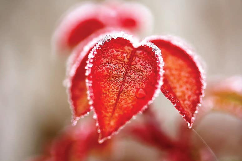 Exerzitien im Alltag – Selig die Barmherzigen – Bethaus Zürich