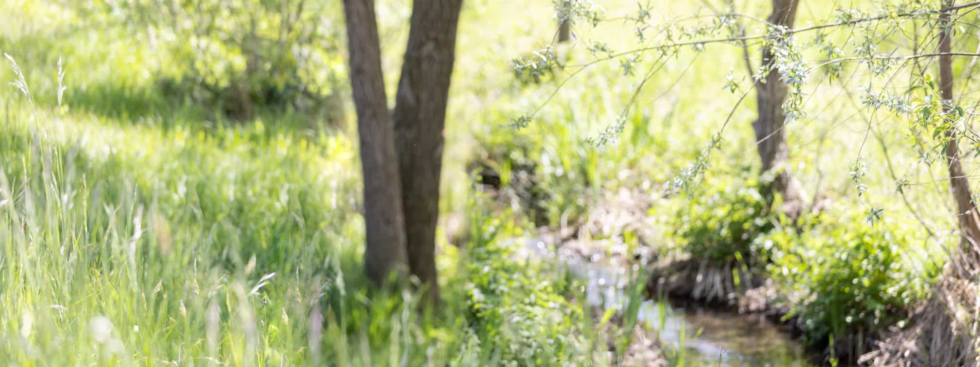 Dazwischen Sein – Morschach