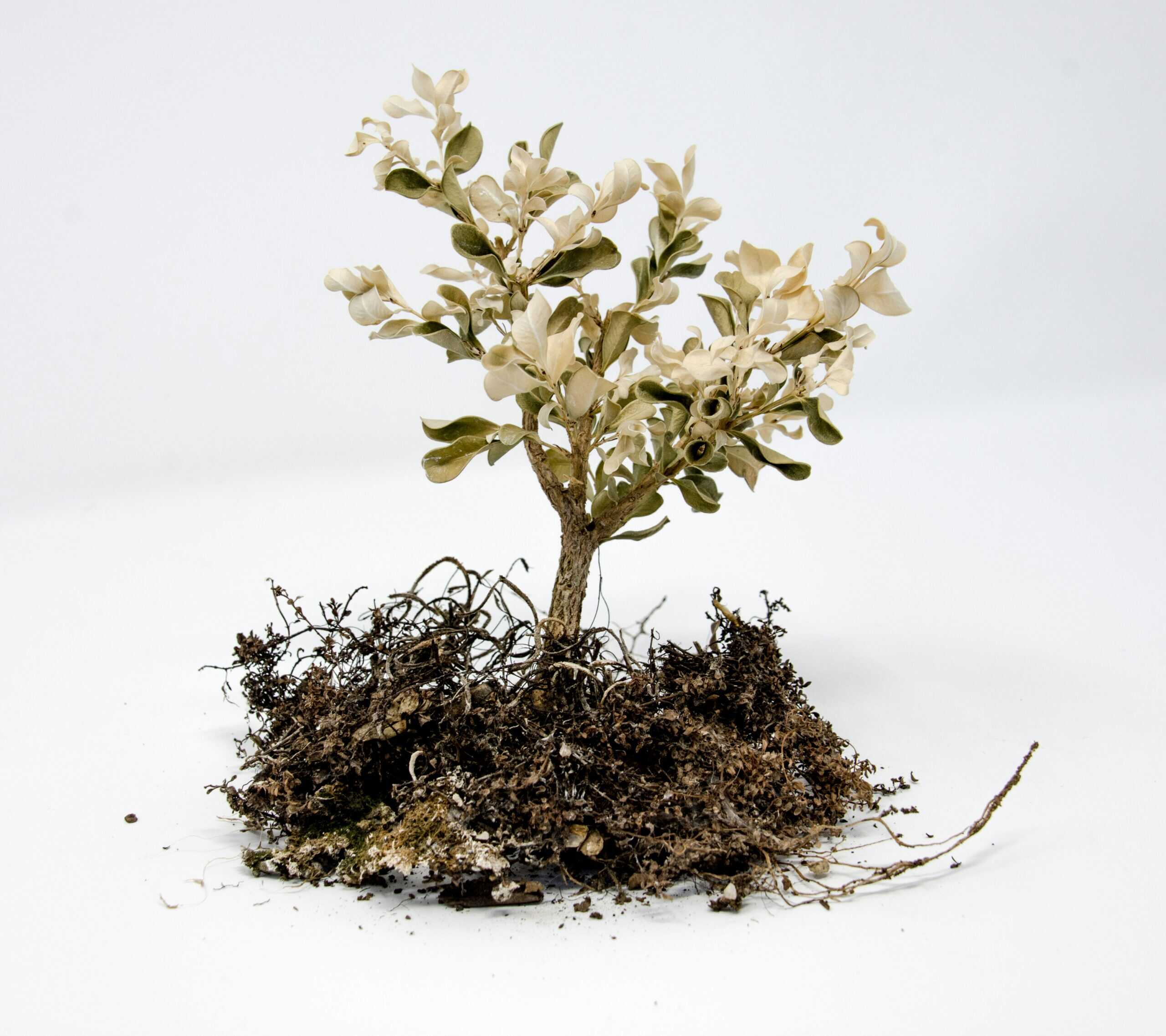 Ganz ans Ende gehen – und wieder zurück – Kloster Kappel